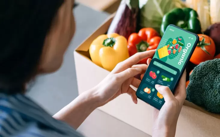 "Revolutionizing the Busy Lives of Mothers: The Best E-grocery App for Convenient Kitchen Shopping"