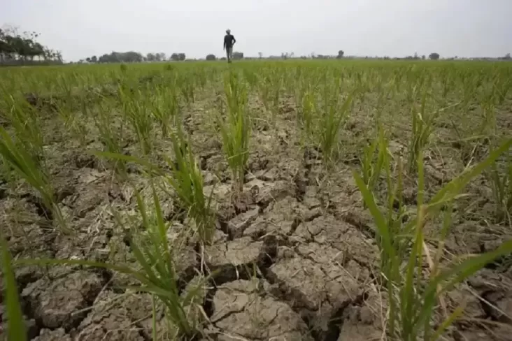 19 Daerah di Indonesia Belum Menikmati Hujan Selama Lebih dari 2 Bulan, BMKG Menyatakan
