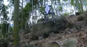 Robot Anjing China Berhasil Bertahan di Bawah Cuaca Ekstrem Berkat Kemampuan Kendalinya yang Unggul