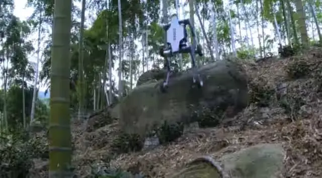 "Anjing Robot China Menunjukkan Kemampuan Unggulnya dalam Menghadapi Cuaca Ekstrem"