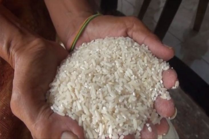 Bapanas Minta Penyerapan Beras juga Jagung oleh Bulog Dikawal Ketat
