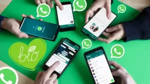 Cara Mengubah Pesan Suara Jadi Pesan Teks di tempat WhatsApp Terbaru