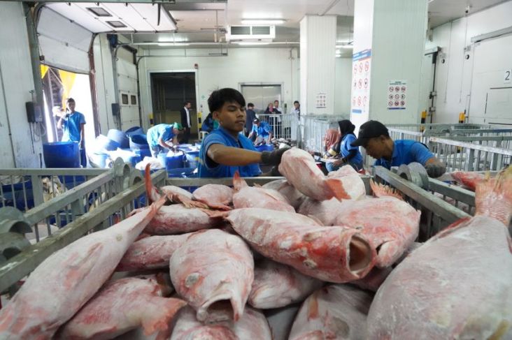 Dukung Hilirisasi Perikanan, KKP Siapkan Sistem Pengetahuan Cold Storage