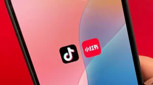 Fakta Aplikasi komputer RedNote Calon Kuat Pengganti TikTok