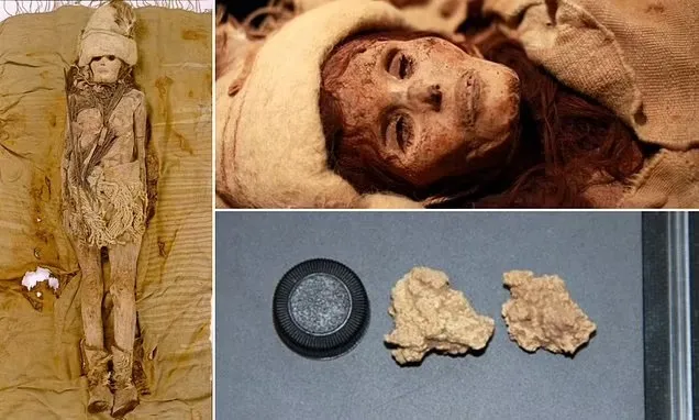 Potongan Keju Tertua pada di Planet Ditemukan pada Mumi China