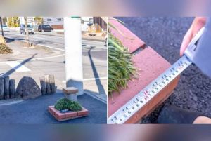 Negeri Matahari Terbit Ciptakan Taman Terkecil di dalam Dunia, Segini Ukurannya