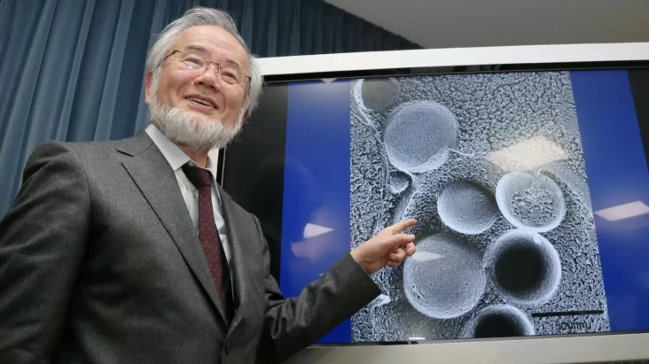 Profil Yoshinori Ohsumi, Peneliti Negeri Matahari Terbit yang digunakan Mendapat Nobel pasca Meneliti Manfaat Puasa
