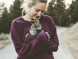 Mengurus Kucing di Tengah Ketidakpastian, Ironi Sosial Modern?