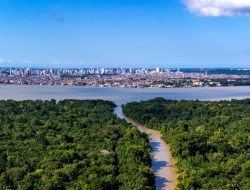 Hasil Pembicaraan COP30 Uji Kekuatan Kerja Sama Iklim Global