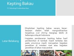 PHE OSES Latih Budidaya Kepiting Bakau dengan Metode Silvofishery di Kepulauan Seribu