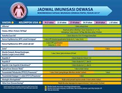Jadwal Kapal Pelni Gunung Dempo Diperbarui hingga 18 Januari 2026: Jakarta, Surabaya, Makassar