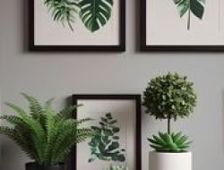 5 Tanaman Hias Interior yang Efektif Menyerap Racun Ruangan Kantor