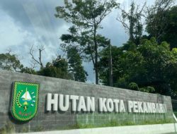 Hutan Kota Pekanbaru: Hijau di Jantung Kota