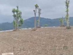 Kerusakan Kebun Teh Pangalengan Setara 210 Lapangan FIFA, ITB Ungkap Ancaman Banjir Besar