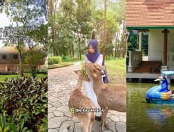 Wisata Solo yang Tak Pernah Menyenangkan, Cocok untuk Libur Nataru 2025