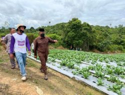 Lewat Urban Farming, Kalcer Fest Bangkitkan Semangat Petani Muda Kediri