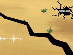 Gempa Jember Terkini, Cek Pusat Gempa Hari Ini via BMKG