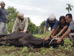 Korban Banjir Aceh: Lapar, Jalan Putus, Listrik Padam