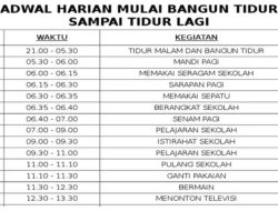 Jadwal 6 Laga Akhir Persiba, Nasib Beruang Madu Di Tentukan