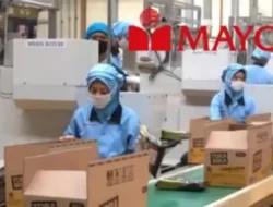 Mayora buka peluang magang manajemen 2026, cocok untuk lulusan baru
