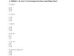 45 Soal Matematika Kelas 2 Lengkap Kunci Jawaban Ujian Semester 2