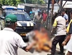 7 Fakta Menyedihkan Nenek Elina Surabaya: Pelaku Sudah Ditangkap, Siapa Lagi yang Terlibat?
