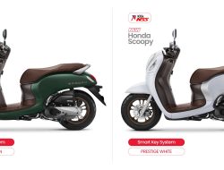 Scoopy 2026 Membuat Jatuh Hati! Warna Glosy Terbaru, Perbedaan Varian Lebih Jelas, Lihat Detailnya!