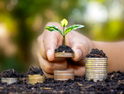 Pasar Asia Menarik Perhatian Investor Global