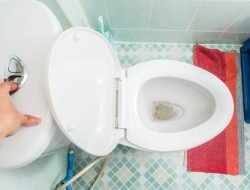 Toilet Duduk dengan Dua Tombol Pencuci, Fungsi yang Menyedihkan