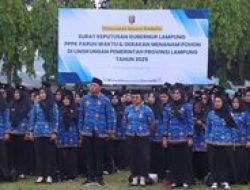Gaji PPPK Lulusan SMA 2026: Ini Rincian Terbaru Sesuai Aturan
