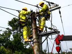 Tarif Listrik PLN Mulai 1 Januari 2026, Ini Rincian Lengkapnya