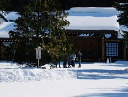 Itinerary 1 Hari Hokkaido Rp1,2 Juta, Berlibur Musim Salju Lihat Penguin