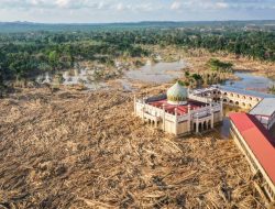 Jejak Toba Pulp: Izin Dicabut Akibat Penggunaan Hutan