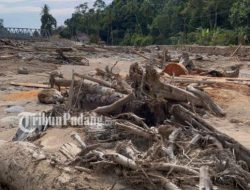 Saksi Kata Puing Doa di Lambung Bukik: Surau Jamiaturrahmah Rata Tanah, Warga Tarawih di Tenda