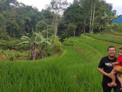 Agroforestri Sindang Barang: Berkebun Sambil Merawat Bumi