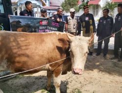 Gelar Isra Mikraj di Batu Sumbang, AQL Laznas Serahkan 7 Sapi untuk Meugang Puasa ke Bupati Aceh Timur