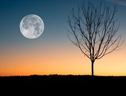 10 fakta menarik tentang bulan yang tak sempurna
