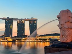 Proses pembuatan makanan murid sekolah Singapura, bisa dipesan ortu H-2