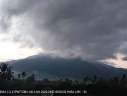 Status Awas, Gunung Lewotobi Alami 1 Kali Tremor Non-Harmonik dan 12 Kali Gempa Vulkanik