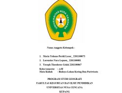 Ingin Menyaksikan Atraksi Nelayan Tradisional Lembata? Ini 3 Fakta Menarik Beburu Paus