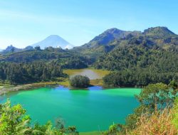 4 Rute Aman Banjarnegara ke Dieng untuk Pemula, Jalur Nyaman Menuju Negeri di Atas Awan