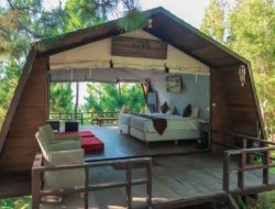 Hanya 19 Rekomendasi Tempat Glamping untuk Menginap di Jogja