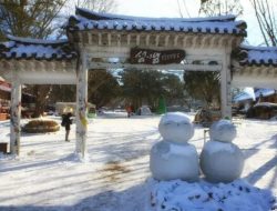 Itinerary Nami Island Rp1,3 Juta: Wisata Eobi Ice Valley hingga Alpaca World