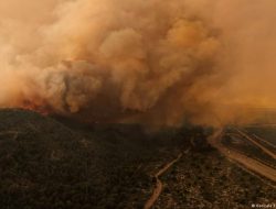 Asap Kebakaran Hutan Ancaman bagi Kesehatan Seluruh Tubuh
