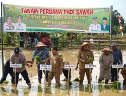 Bupati M Syukur Dampingi Gubernur Al Haris Tanam Padi untuk Jaga Ketahanan Pangan