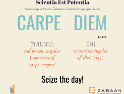 Makna Kata Carpe Diem, Arti dan Pengertian Lengkap