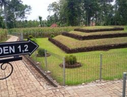 DPD PDIP Lampung Kunjungi Situs Budaya Pugung Raharjo, Winarti: Aset Berharga bagi Daerah