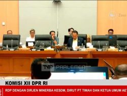Perda IUPR dan HPM Timah Dikebut, DPR dan PT Timah Siapkan Kepastian Hukum dan Harga bagi Penambang