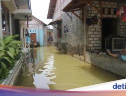 Warga Tirto Pekalongan Mengeluh: Banjir Selama Sebulan, Tak Ada Bantuan dari Pejabat