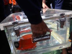 Pesawat Jatuh di Nunukan Tanpa Black Box, KNKT Tetap Lakukan Investigasi